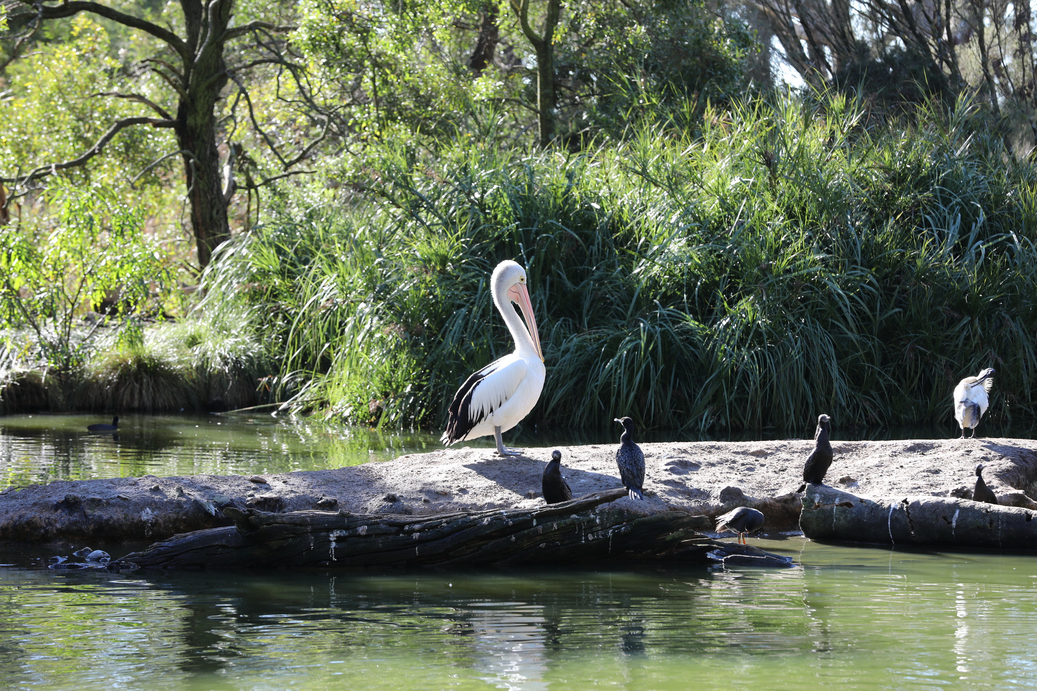 2019 07 19 14 35 51 Canon EOS 5D Mark IV 0029